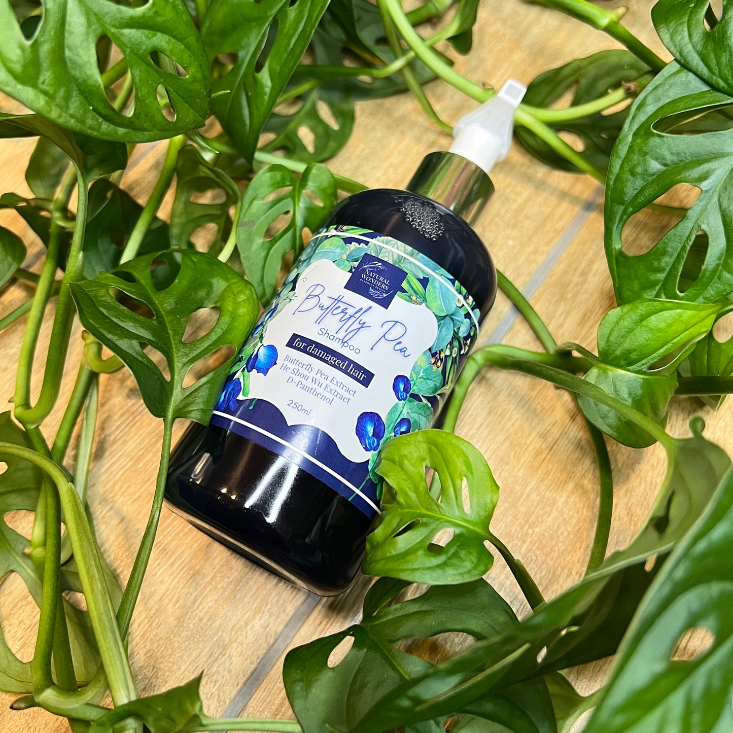 Butterfly Pea Shampoo